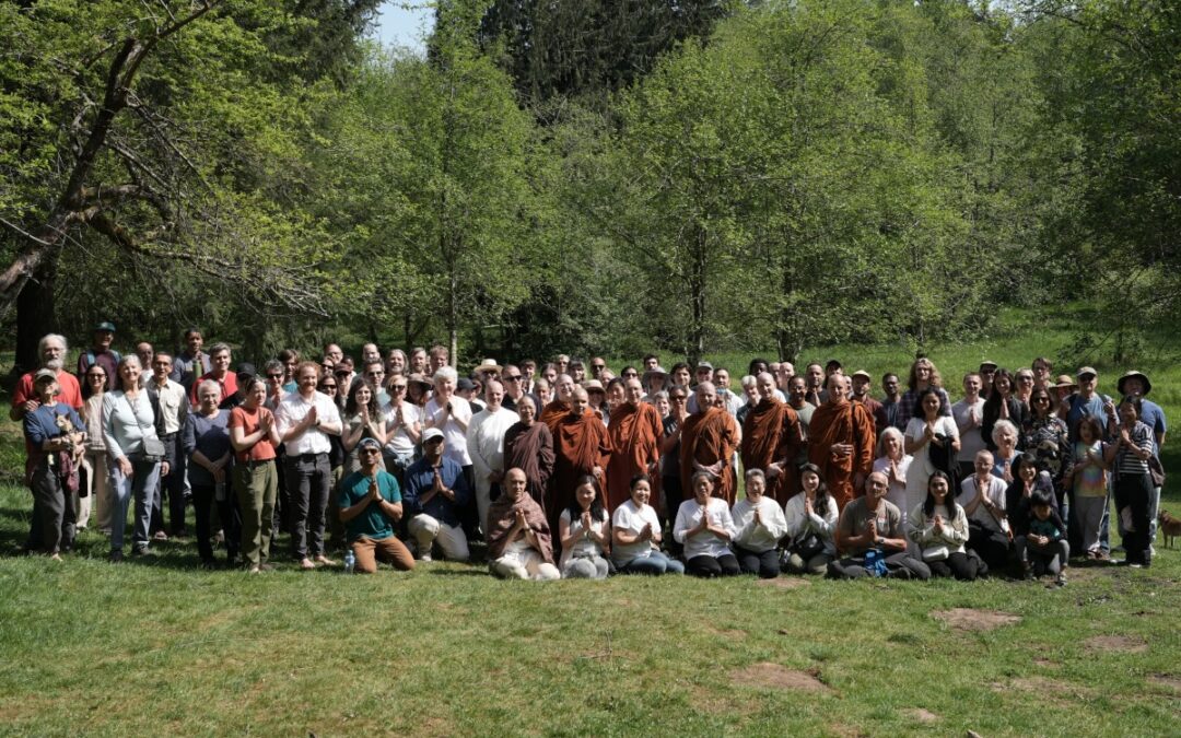 June ’26: Looking to the Next Phase…(& Lots of Events!)